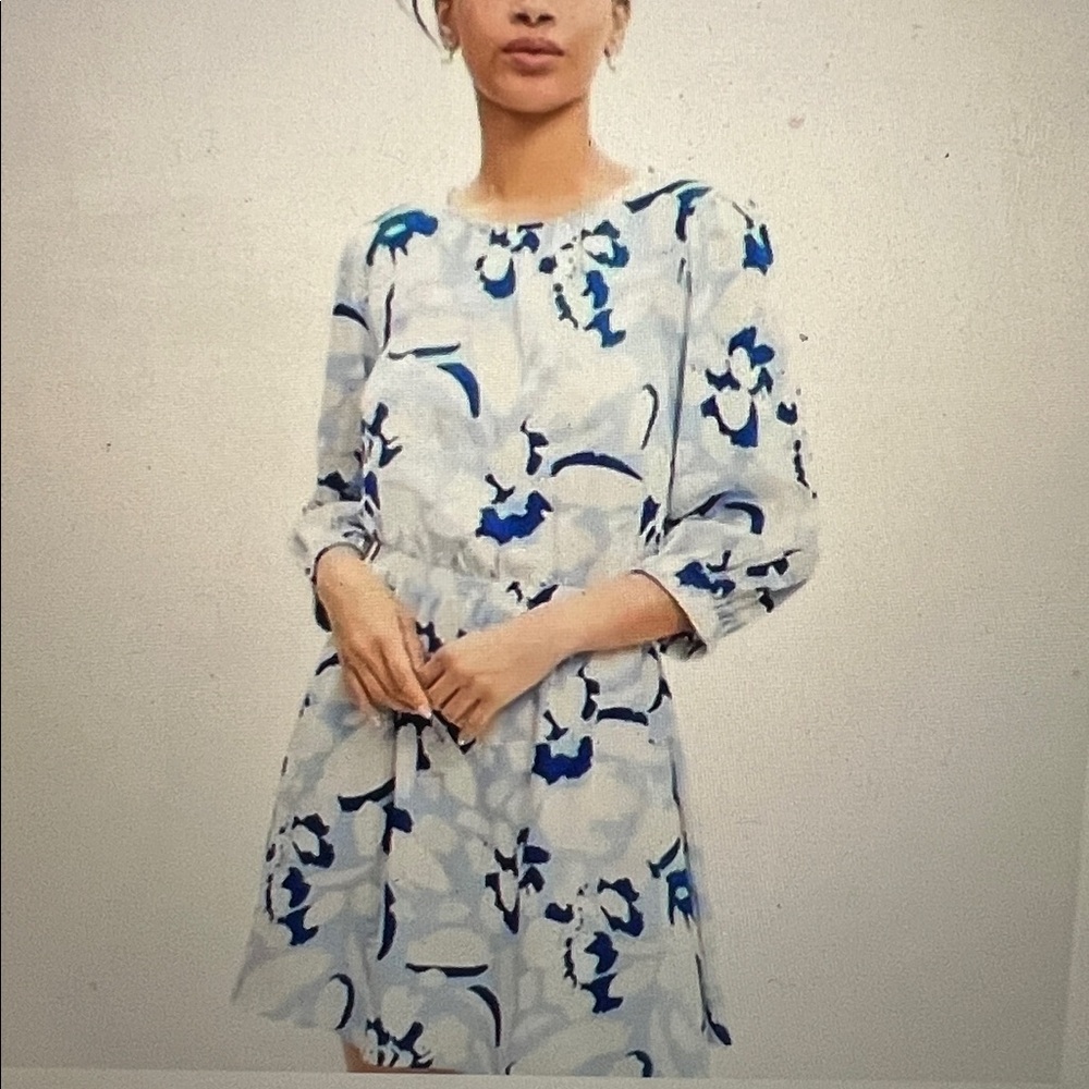 LOFT Floral Dress in Blue and Cream